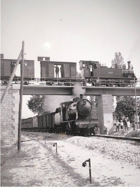 El trenico pasando por un puente